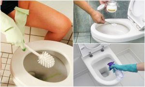 便器の尿石を落とす4つの自然派掃除法