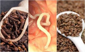 クローブ 寄生虫 リンシード