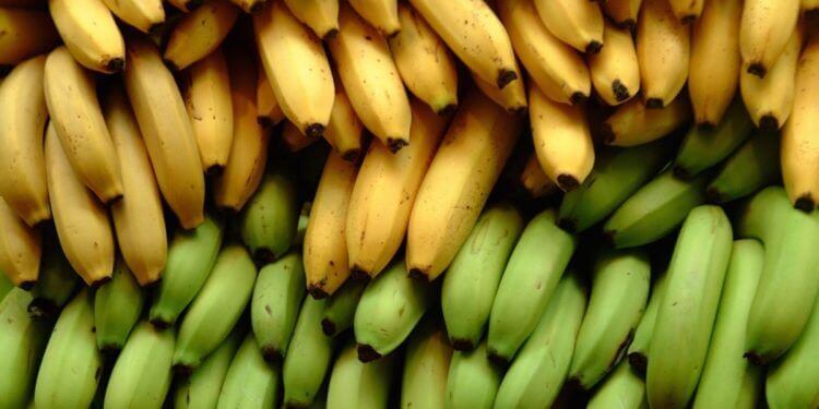 バナナとプランテンが持つ栄養素の３つの主な違い