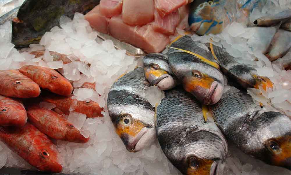 氷の上に並ぶ魚