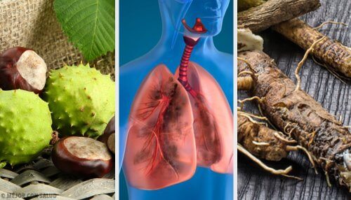 肺を強くする4つの自然療法