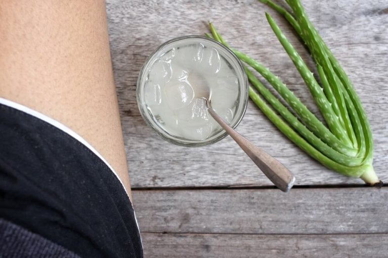 アロエベラと足