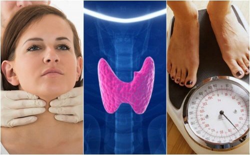 甲状腺機能低下症 かもしれない10のサイン