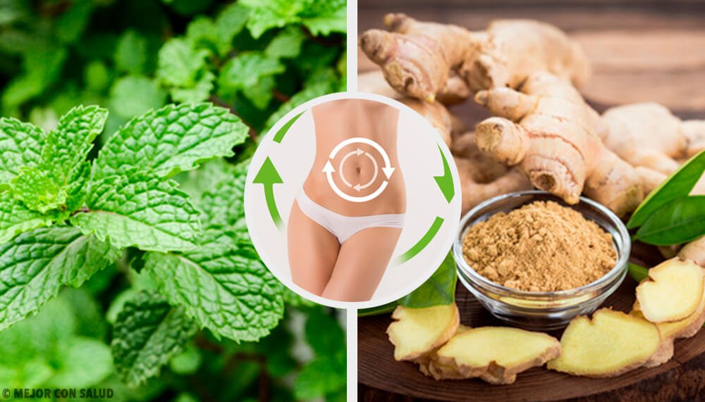 ミント、腹部、ショウガ