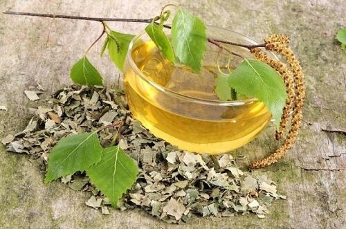 樺茶