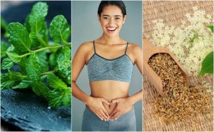 6つの薬用植物で消化をケアしよう