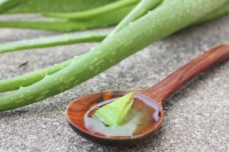 アロエ