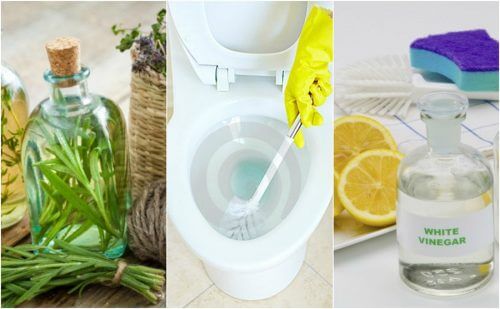 環境に優しい5つのトイレ用洗剤