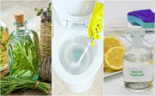 環境に優しい５つのトイレ用洗剤