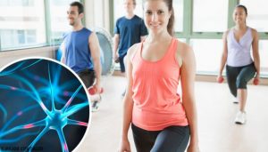 ニューロンを再生させる5つの方法