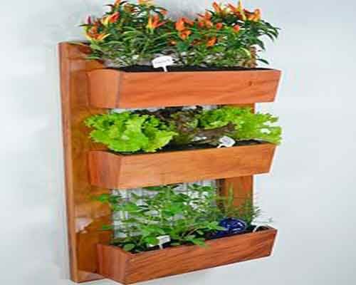 植物の壁