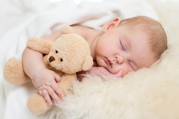 クマを抱いて寝る赤ちゃん