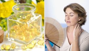 イブニングプリムローズ(月見草)の効能とは?