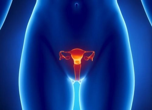 卵巣癌を早期に発見するには 卵巣癌を早期に発見するには
