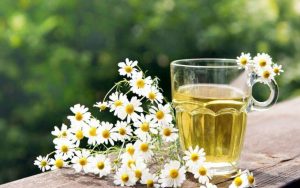 手軽で効果的!カモミールを使った自然療法