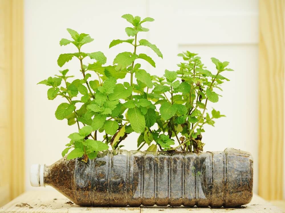 ブラスチック容器のプランター