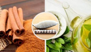 糖尿病の症状を緩和する薬用植物7選