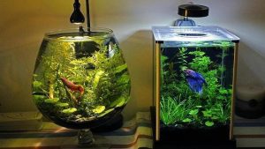 水槽を洗う正しい方法