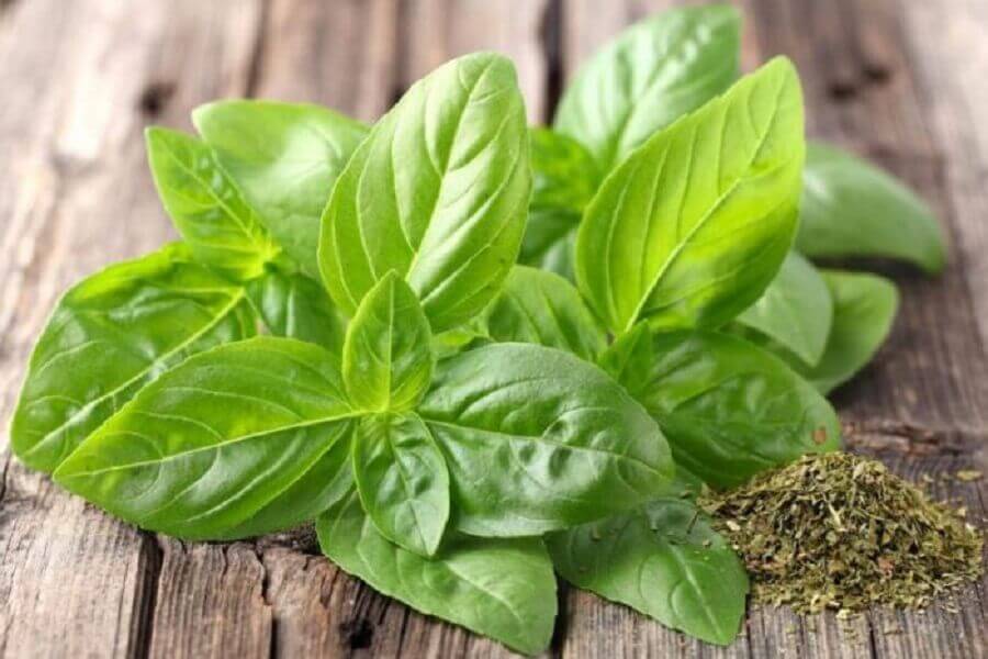 バジル 気持ちを落ち着かせる食べ物