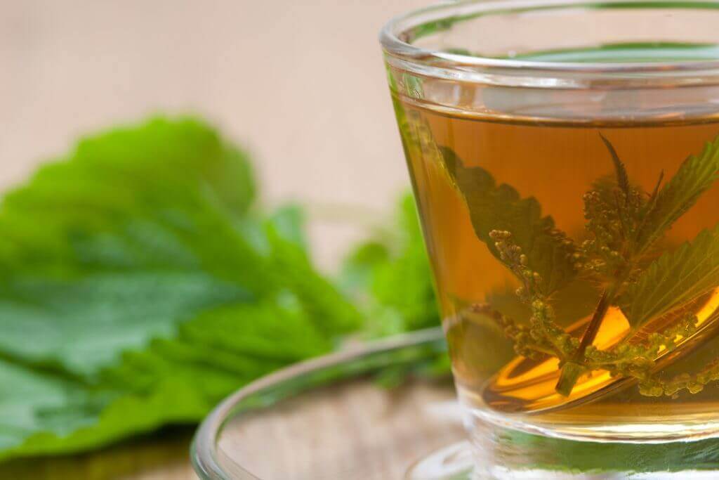 ネトルのお茶