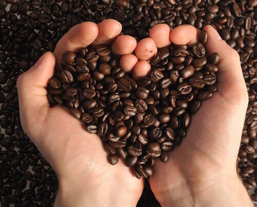 手のひらのコーヒー豆