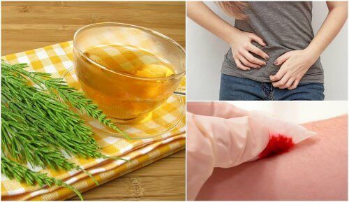 ホーステイルの使い方