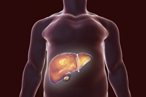 肝臓のデトックスに役立つ自然療法