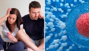 男性の不妊症を改善するためのヒント