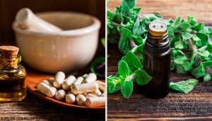 天然の抗生物質