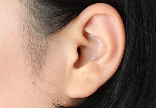  スペアミント ：耳の自然療法