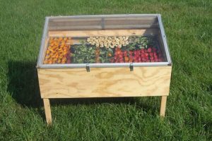 自家製食品乾燥機でドライフードを作ろう