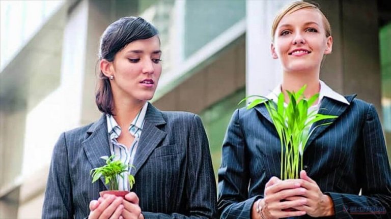 植物を嫉む女性