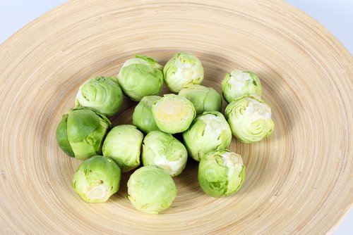 芽キャベツ 化学肥料やスプレーが使われているかわかる食材