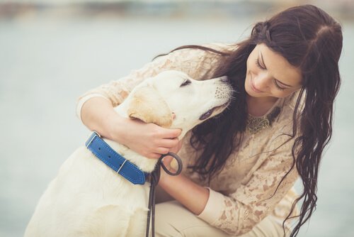 犬と遊ぶ