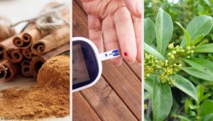 本当に効く!糖尿病に良い5つの薬草
