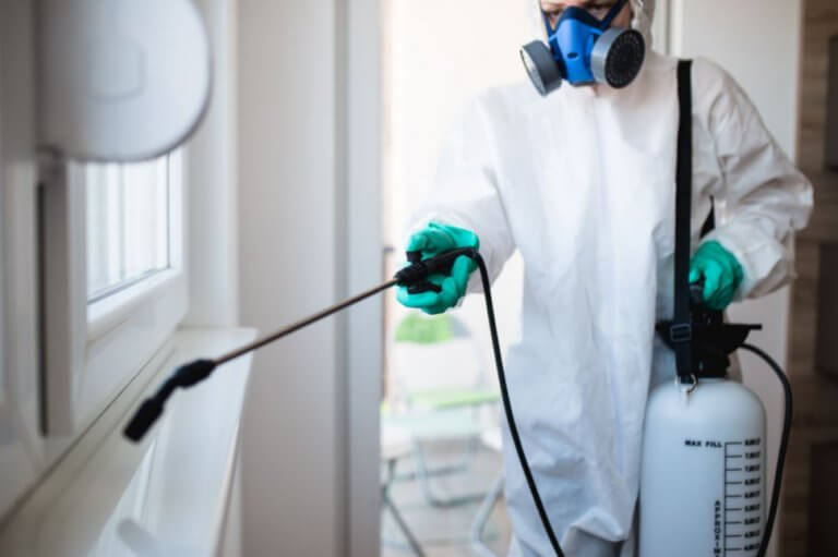 害虫駆除 シロアリの駆除