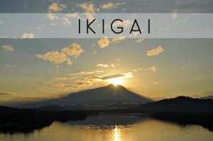 人生をよりよくする秘訣: 生き甲斐 とは?