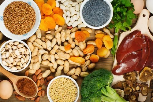 体内の鉄分量を増やす食品