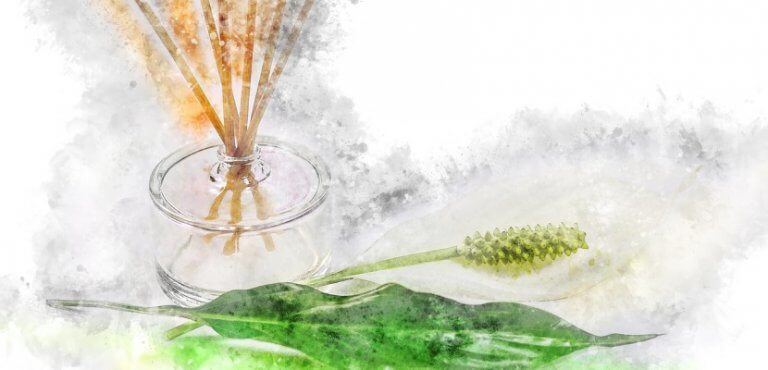 植物のイラスト