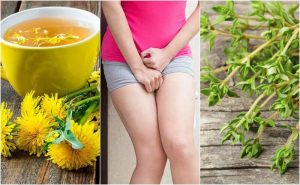 膀胱炎、ハーブを使った5つの自然療法