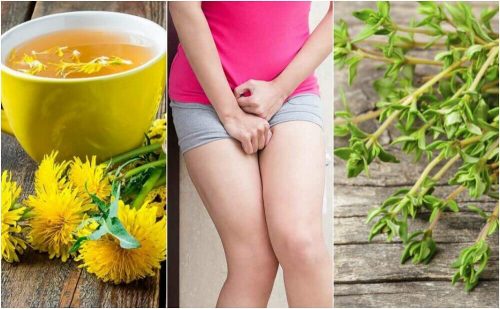 膀胱炎、ハーブを使った5つの自然療法