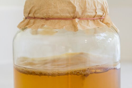 コンブチャの味見をする