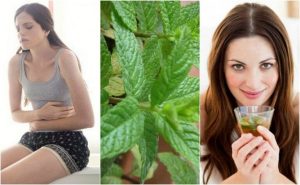 きっと気に入る ミントを使った5つの自然療法