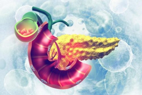 胆嚢摘出手術後に食べると良い食事