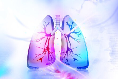 肺のデトックスを促す自然療法
