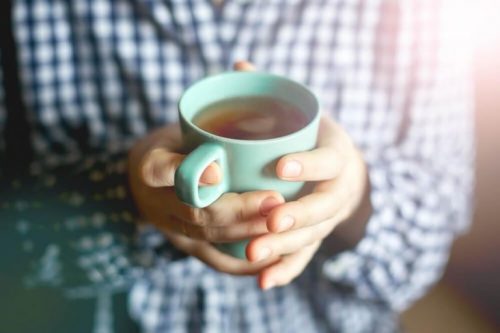 オオアザミのお茶