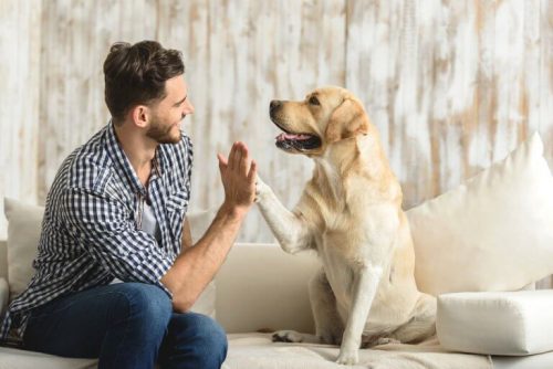 犬と人