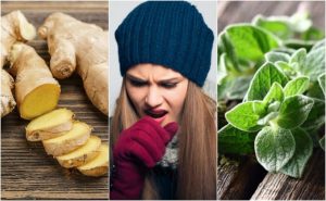 やっかいな痰を取り除くための植物療法ってなに?