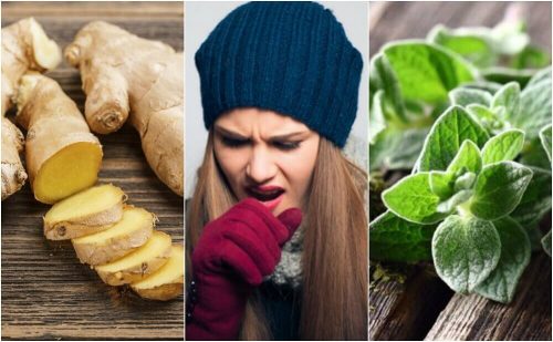 やっかいな痰を取り除くための植物療法ってなに?