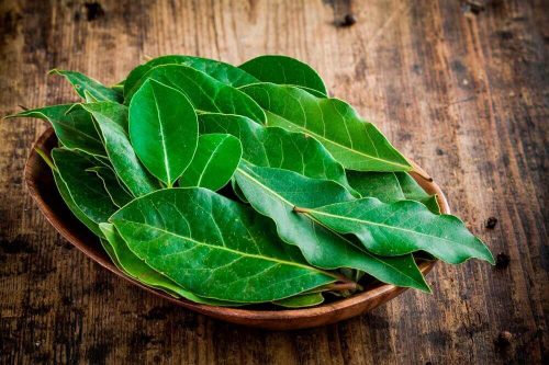 ベイリーフ 植物療法 痰